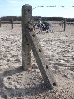 Haagse duinen