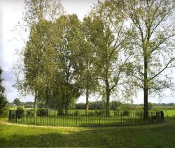 Son en Breugel, het asstrooiveld in de zomer.