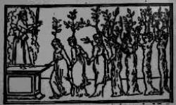 illustratie uit De droom van Poliphilus: de zeven dochters van de neergestorte zonnegod Phaëthon huilen tot ze in bomen veranderen.