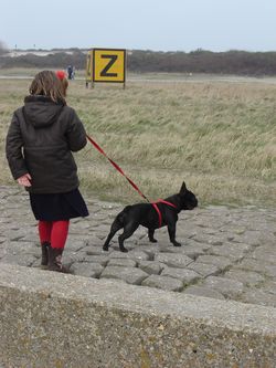 Hoek van Holland