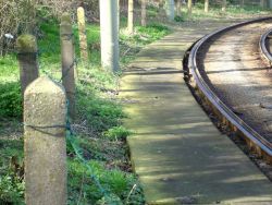 de tramlus van het Markenseplein