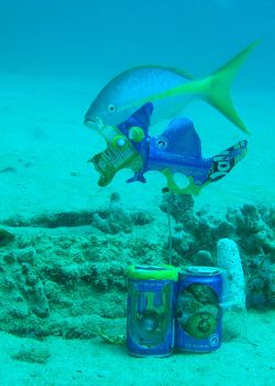 werk van Moritz Ebinger op de zeebodem bij Aruba. vis kijkt toe.