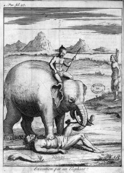 olifant voert executie uit