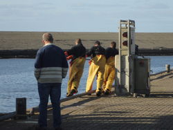 achtergrond: de dijk van de Waddenzee