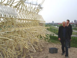 de Animaris Umerus ('het geschouderde strandbeest')