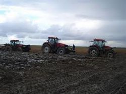 trekkers op het land bij Oude Bildtzijl, waar Jannie Regnerus vandaan komt