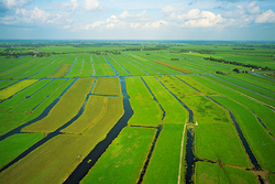 het Groene Hart - alleen uit de lucht te zien