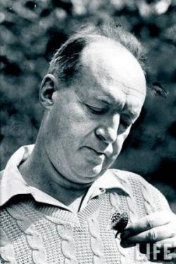 Nabokov met vlinder